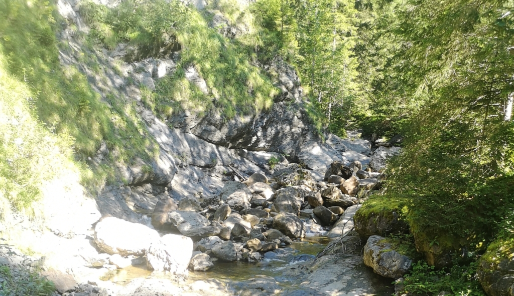 IMG_20240810_100322